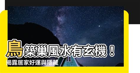 鳥在冷氣築巢風水|鳥巢風水：居家好運密碼